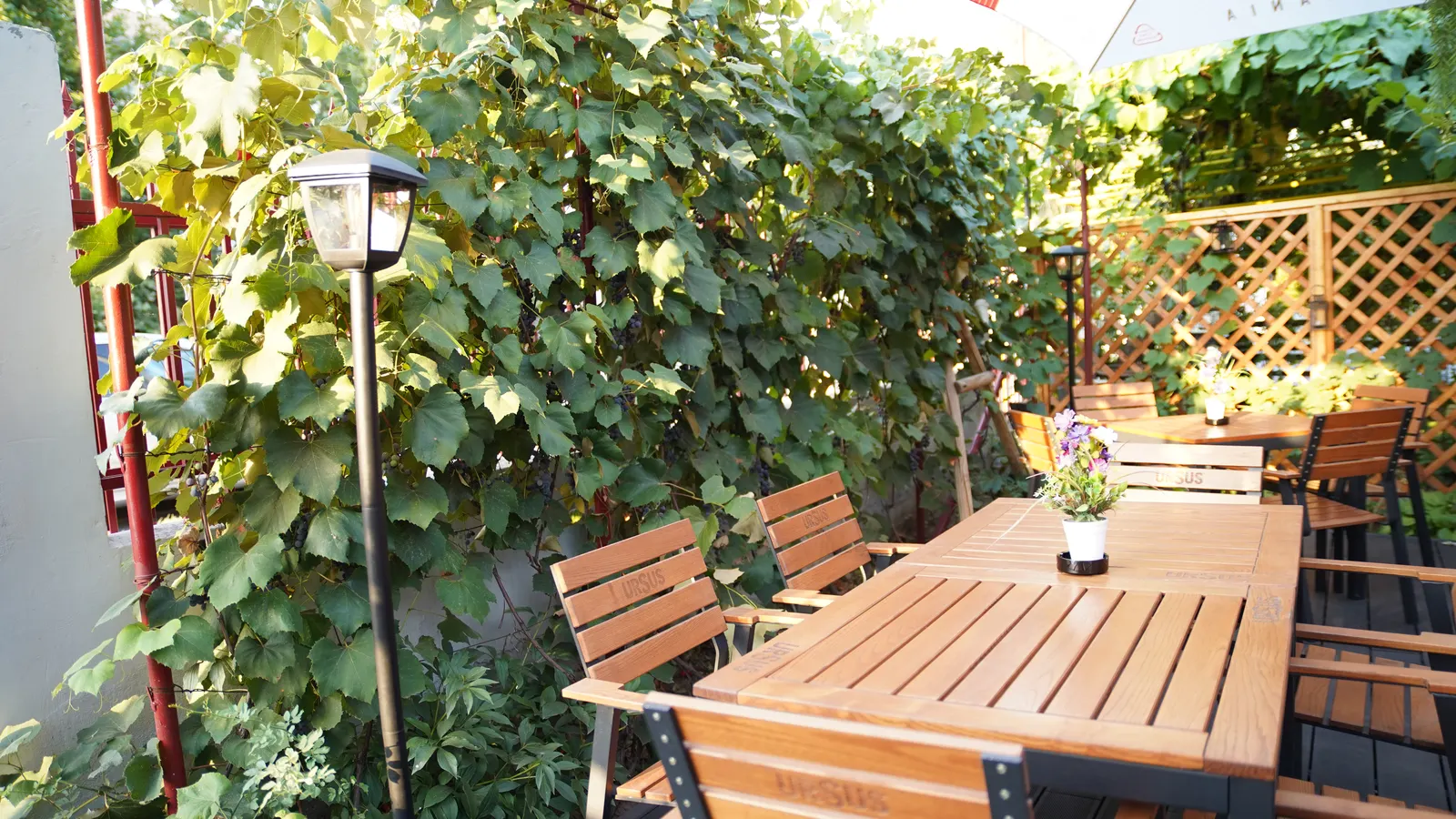 Terasa Coco Jar Bistro cu mese și verdeață